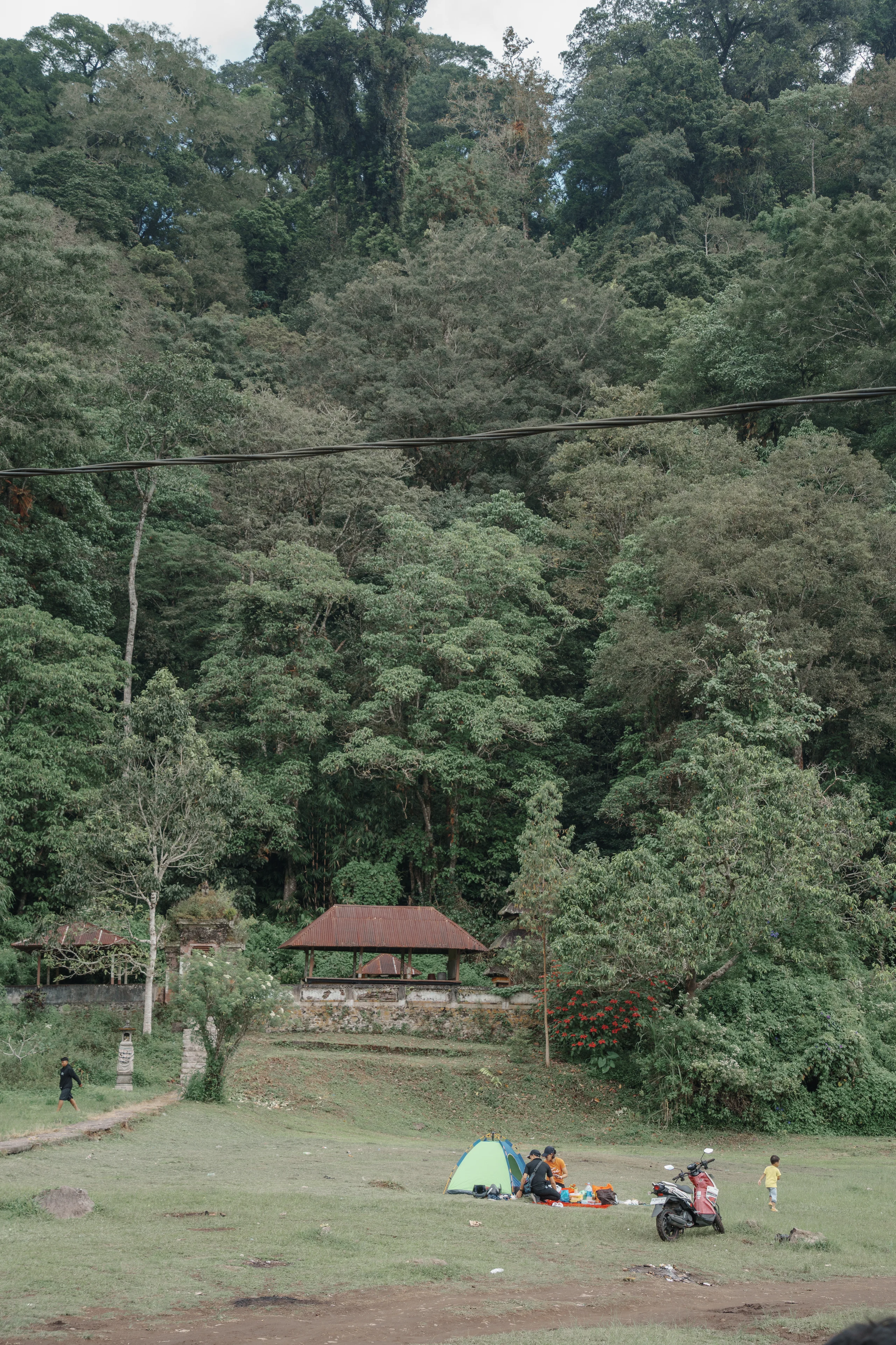 巴厘岛：山谷中的草地